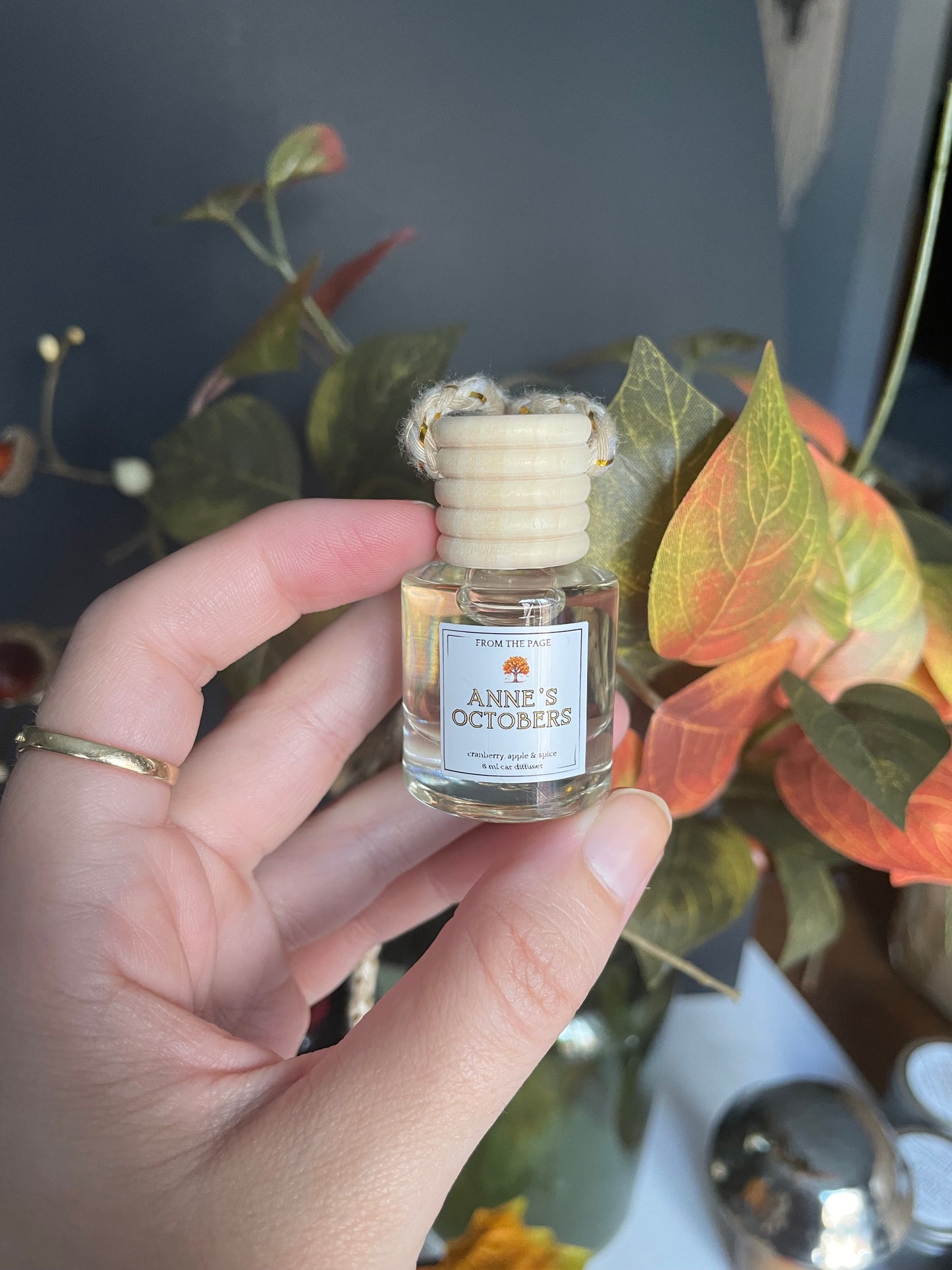 Fall Car Diffusers - pick one