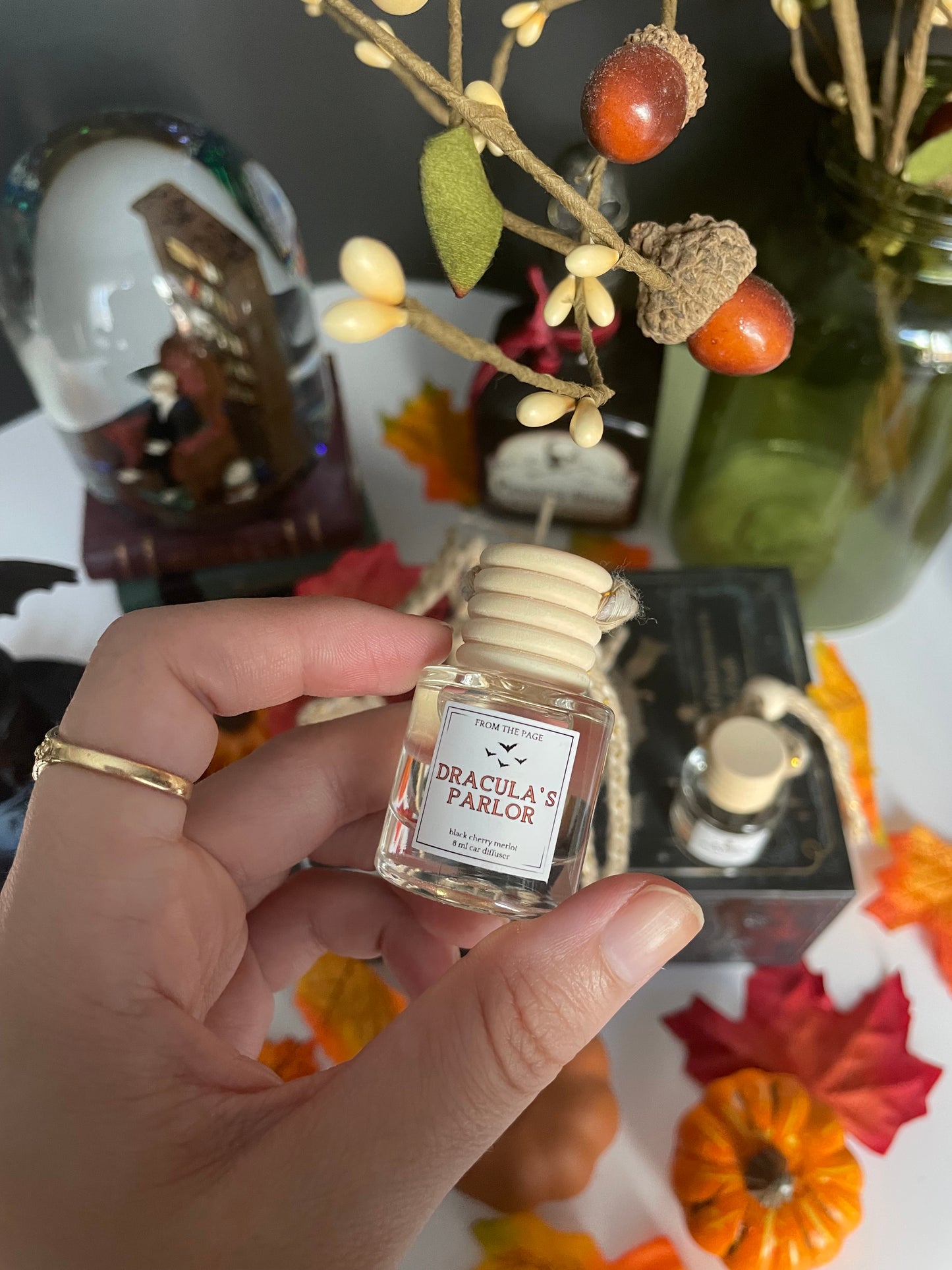 Fall Car Diffusers - pick one