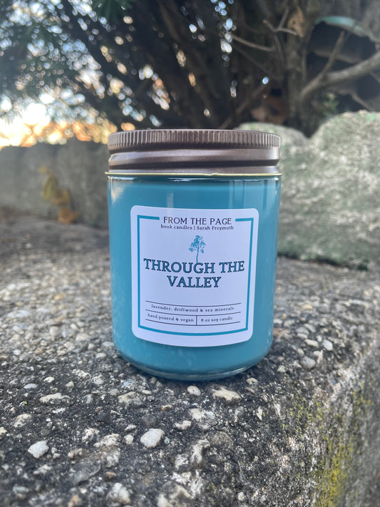 Through the Valley (Sarah Freymuth)