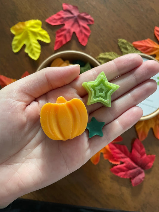 Enchanted Pumpkin Patch | Shaped Wax Melts