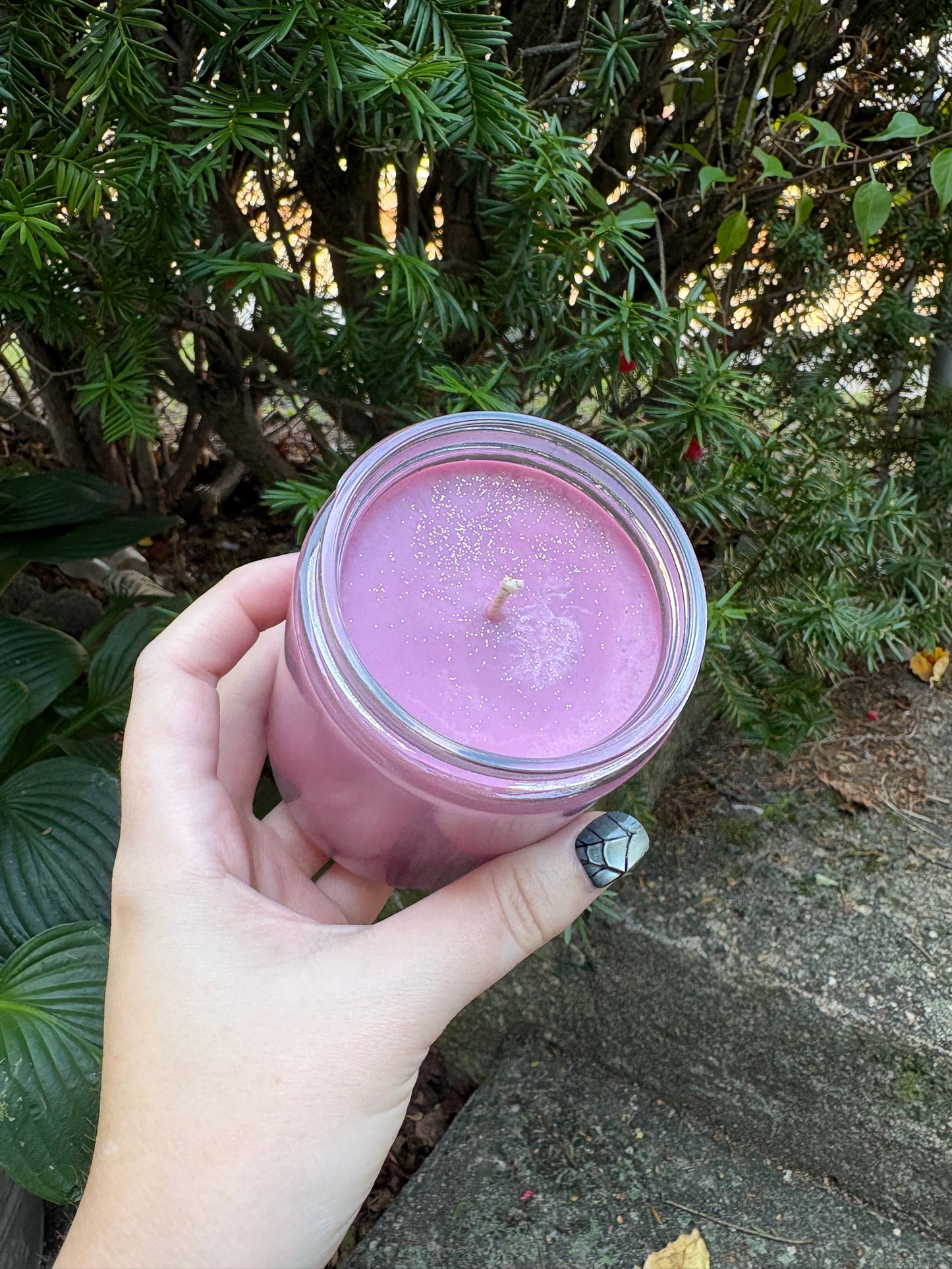 Dracula’s Parlor - Candle of the Month (black cherry merlot)