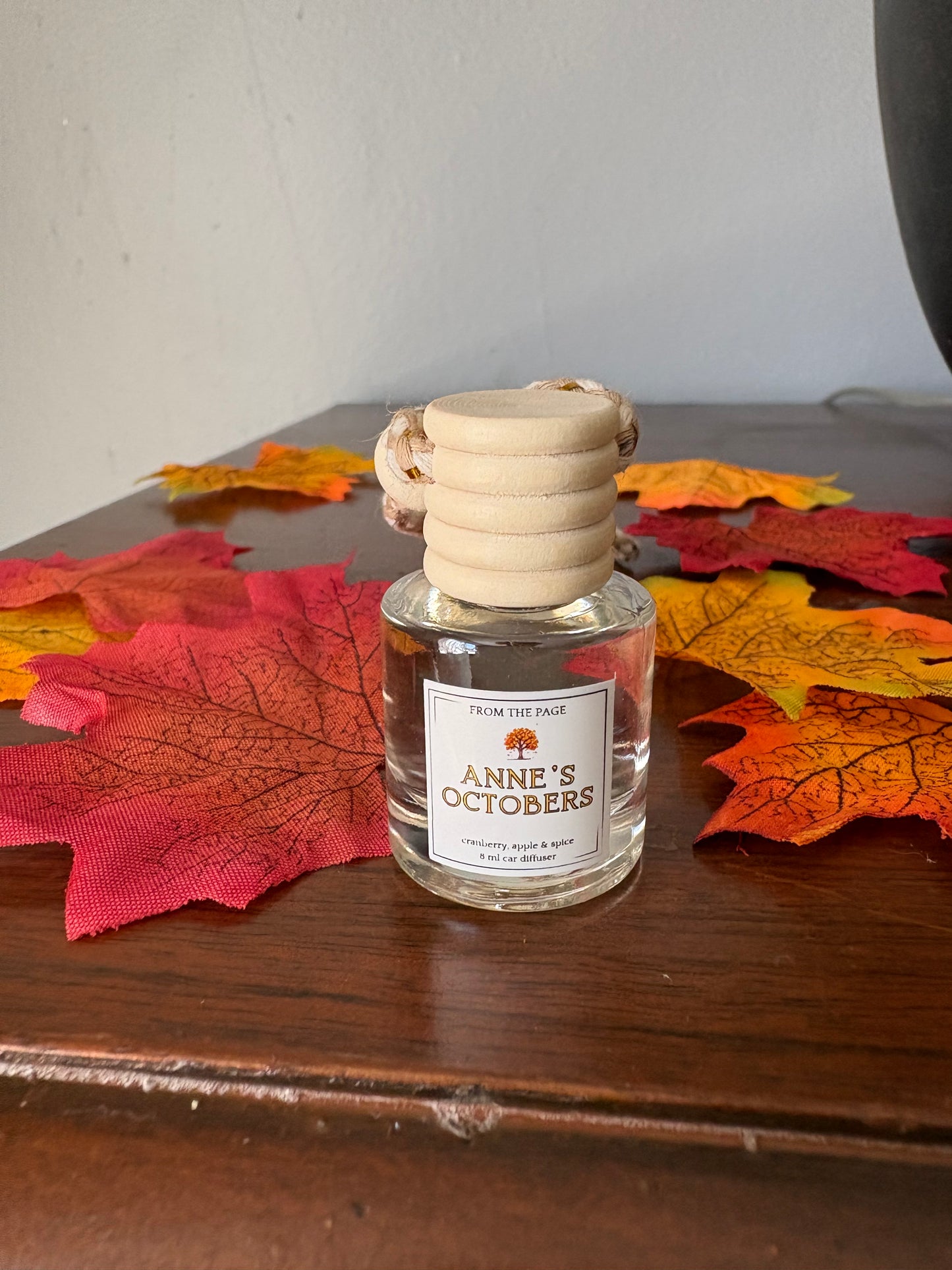 Anne’s Octobers Car Diffuser (cranberry, apple, spice)