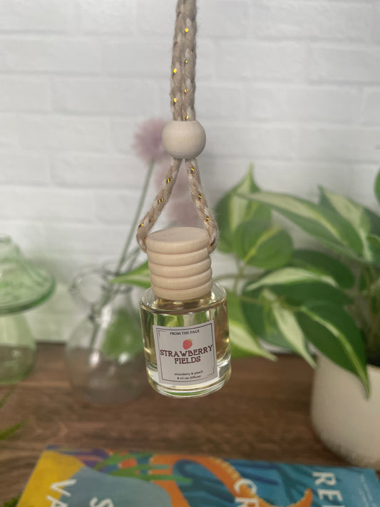 Summer Car Diffusers - pick one