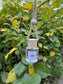 Poison Apple Car Diffuser (apple, berry, amber)