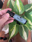 Hecate Roll-on perfume (lavender & white sage)